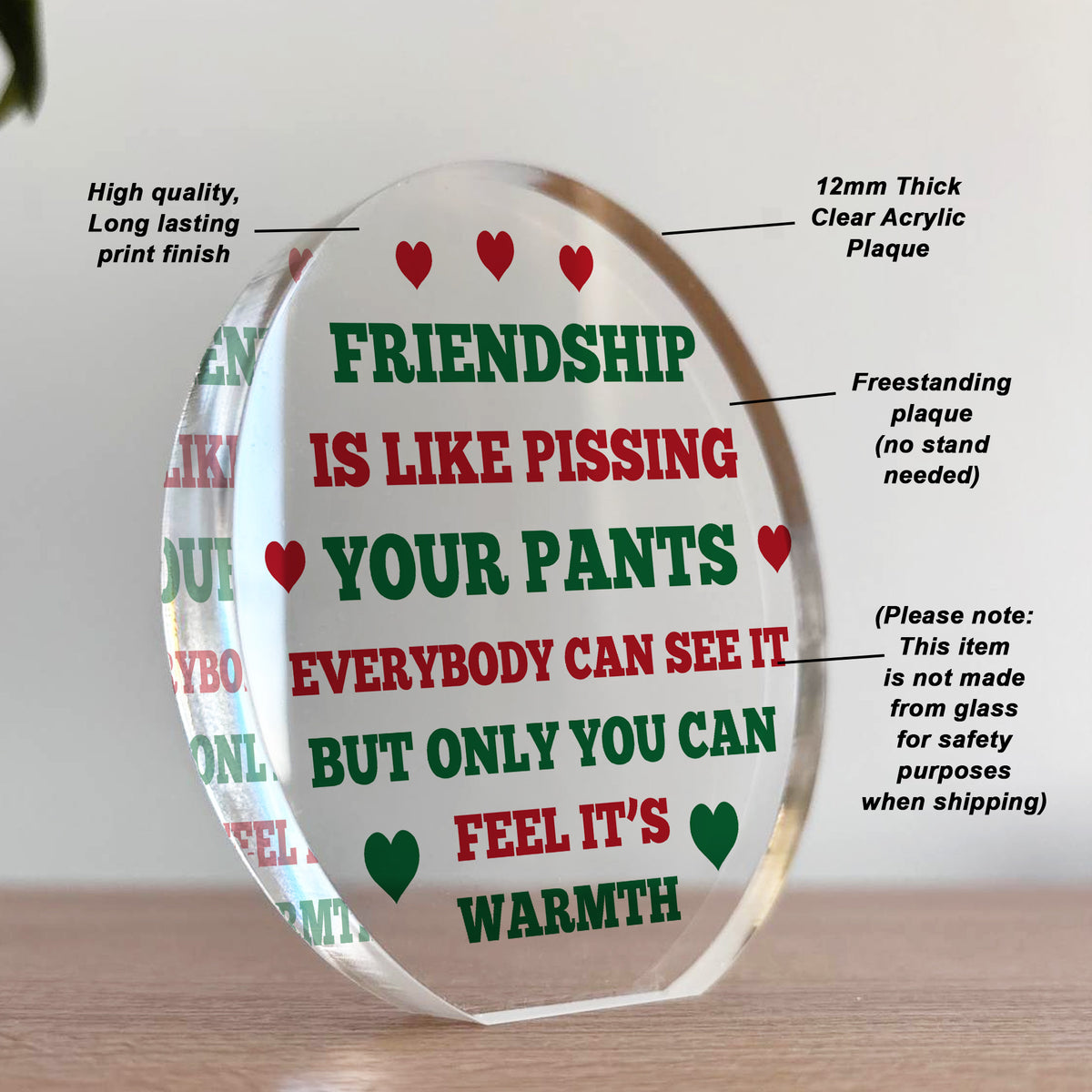 FUNNY Friendship Gift For Him Her Acrylic Plaque Special
