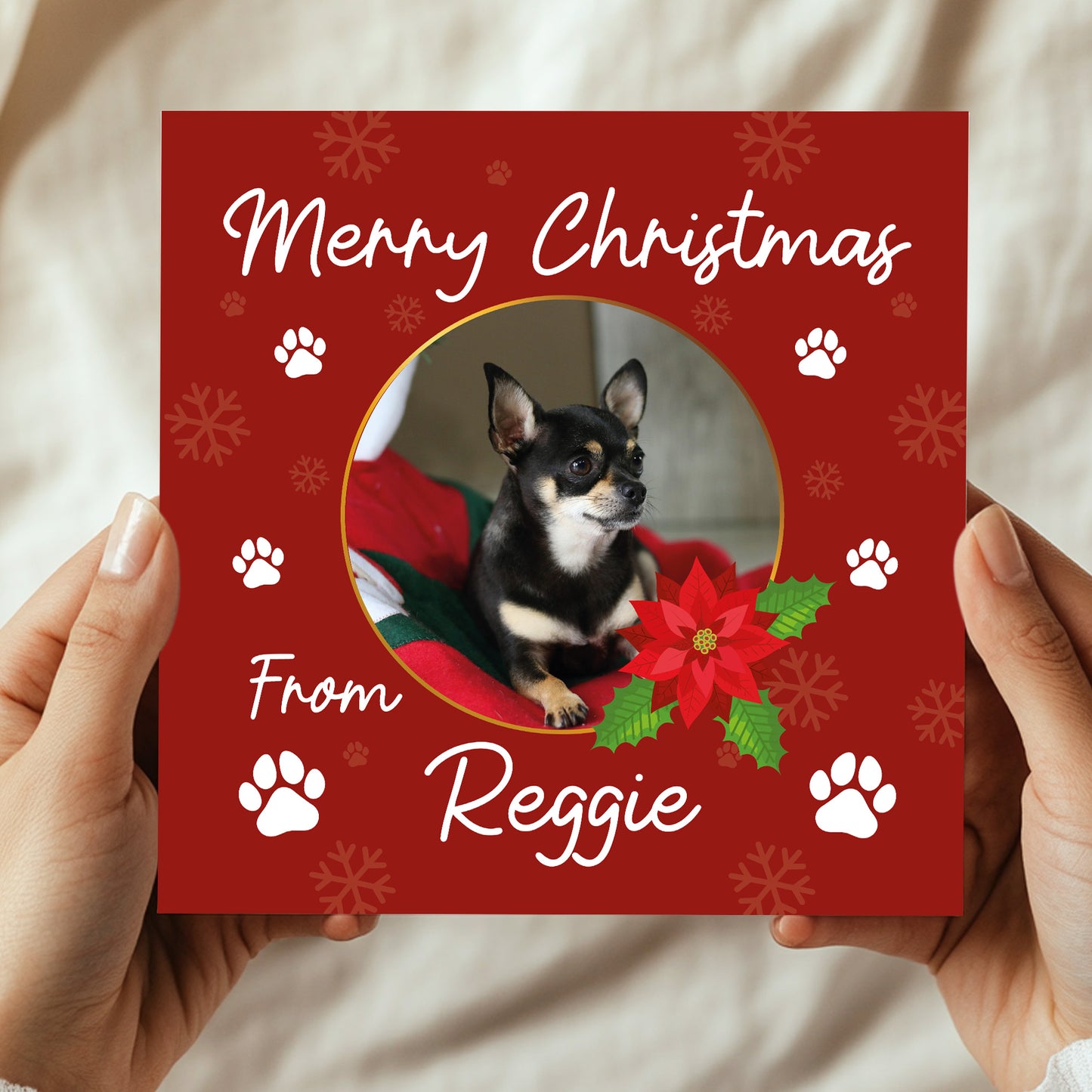 Novelty Christmas Card From The Dog Personalised Photo Card