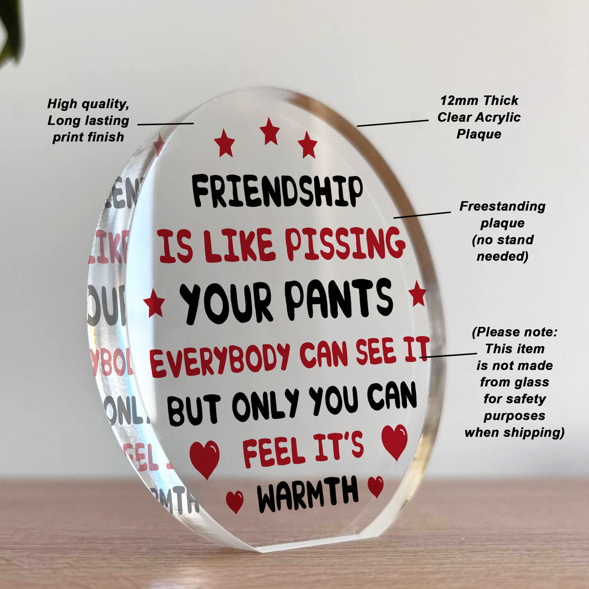 Funny Plaque For Friend Birthday Christmas Acrylic Plaque