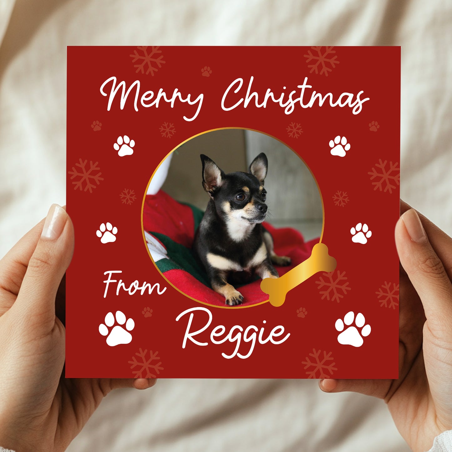 Merry Christmas Card From The Dog Personalised Photo Card
