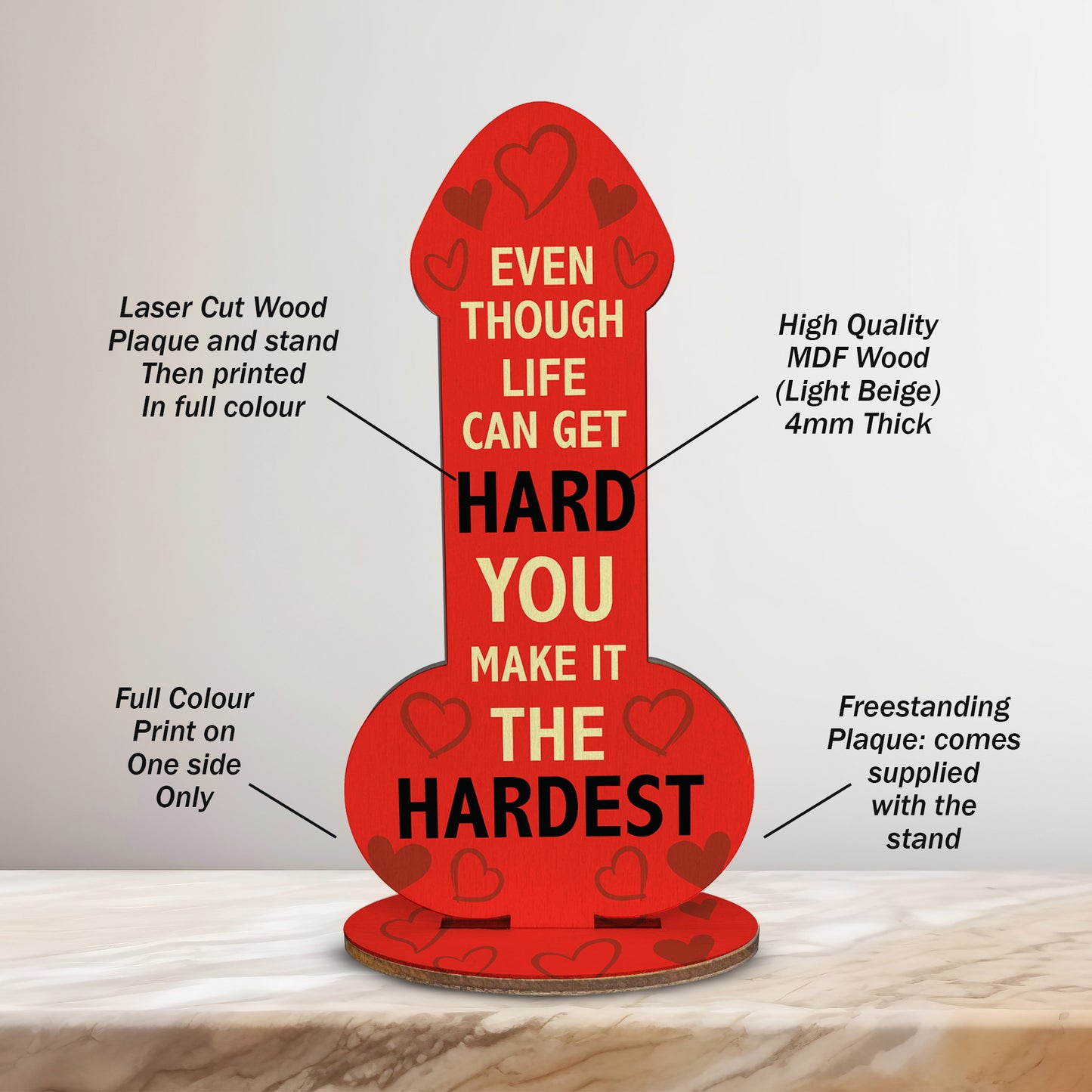 Funny Gift For Girlfriend Wife Novelty Joke Gift Plaque Birthday