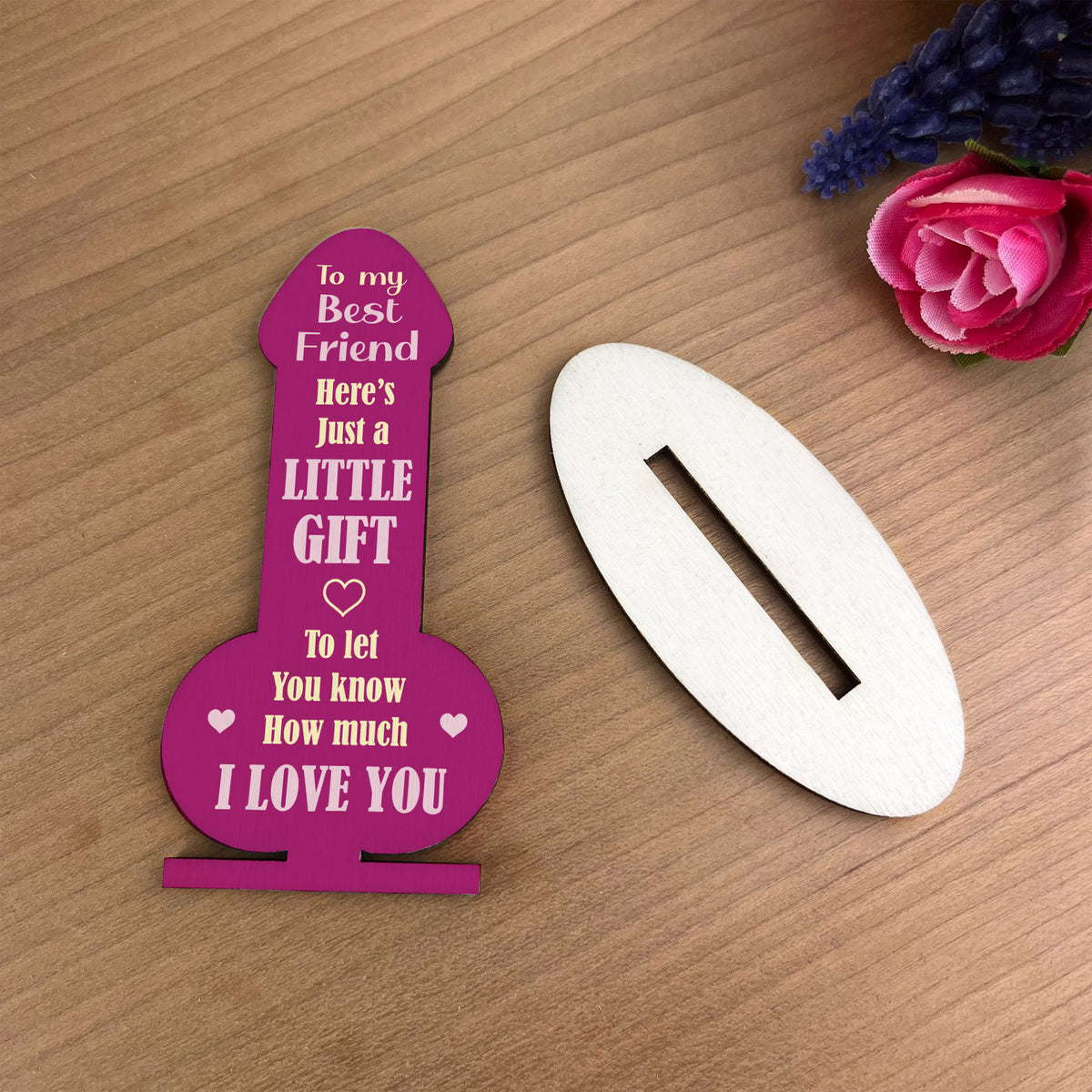 FUNNY JOKE BEST FRIEND PLAQUE Gift For Best Friend Birthday