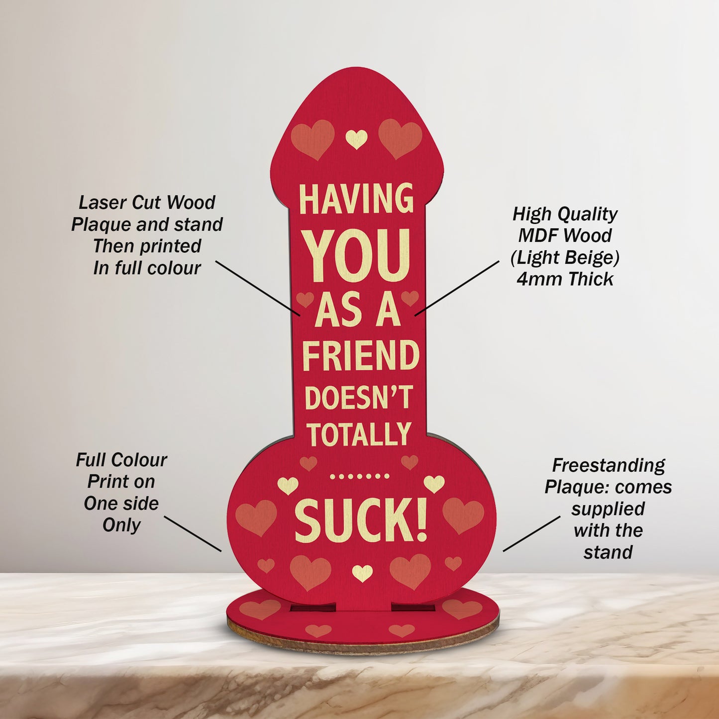 Funny Rude Best Friend Plaque Novelty Friendship Gift For Women