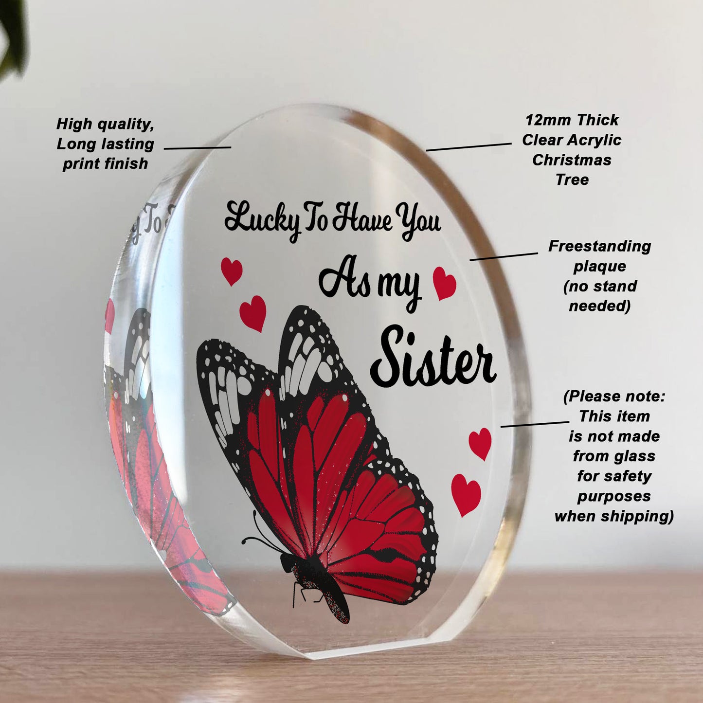 Sister Gifts Acrylic Plaque Birthday Gift For Sister Big Little