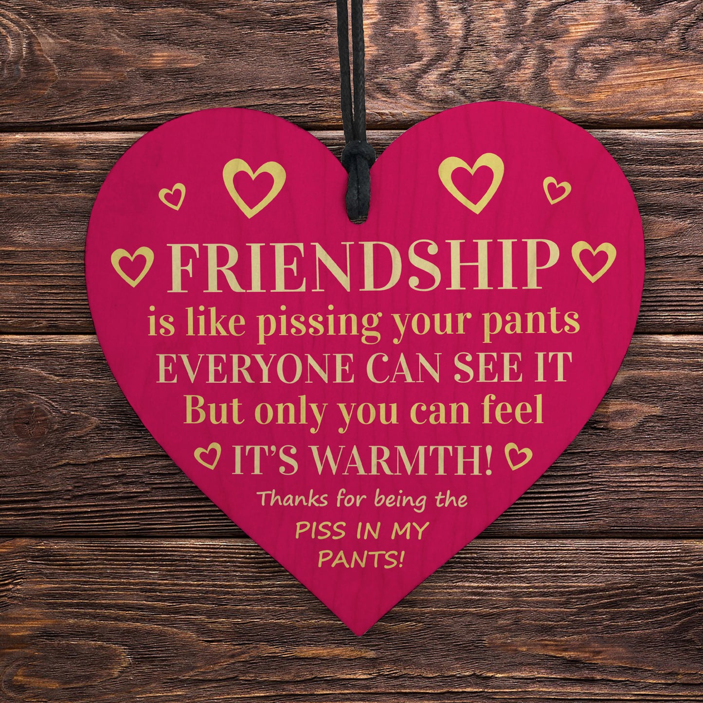 Funny Friendship Gift Plaque Best Friend Gifts For Her Bestie