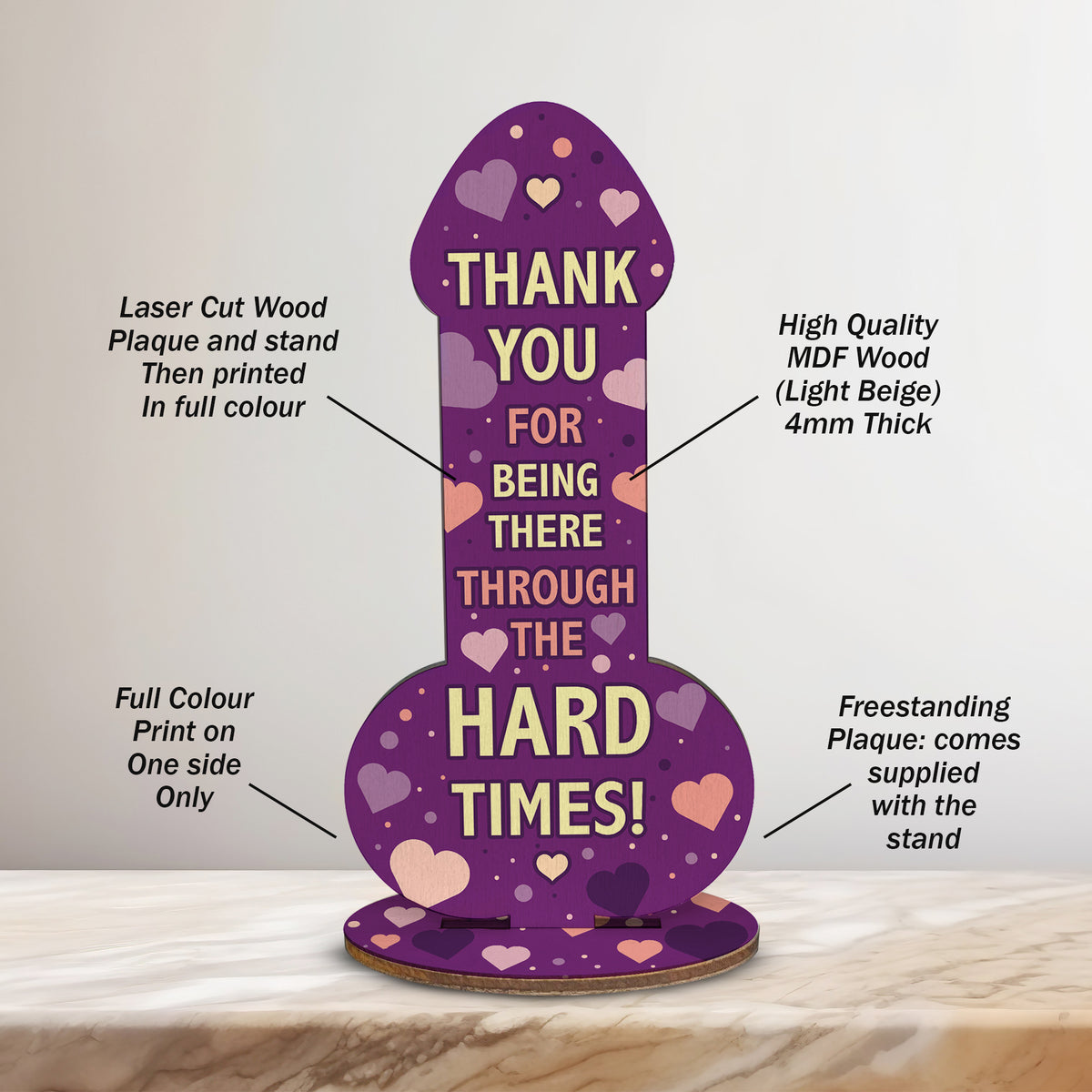 Funny Thank You Gift Rude Friendship Sign Joke Gift Best Friend