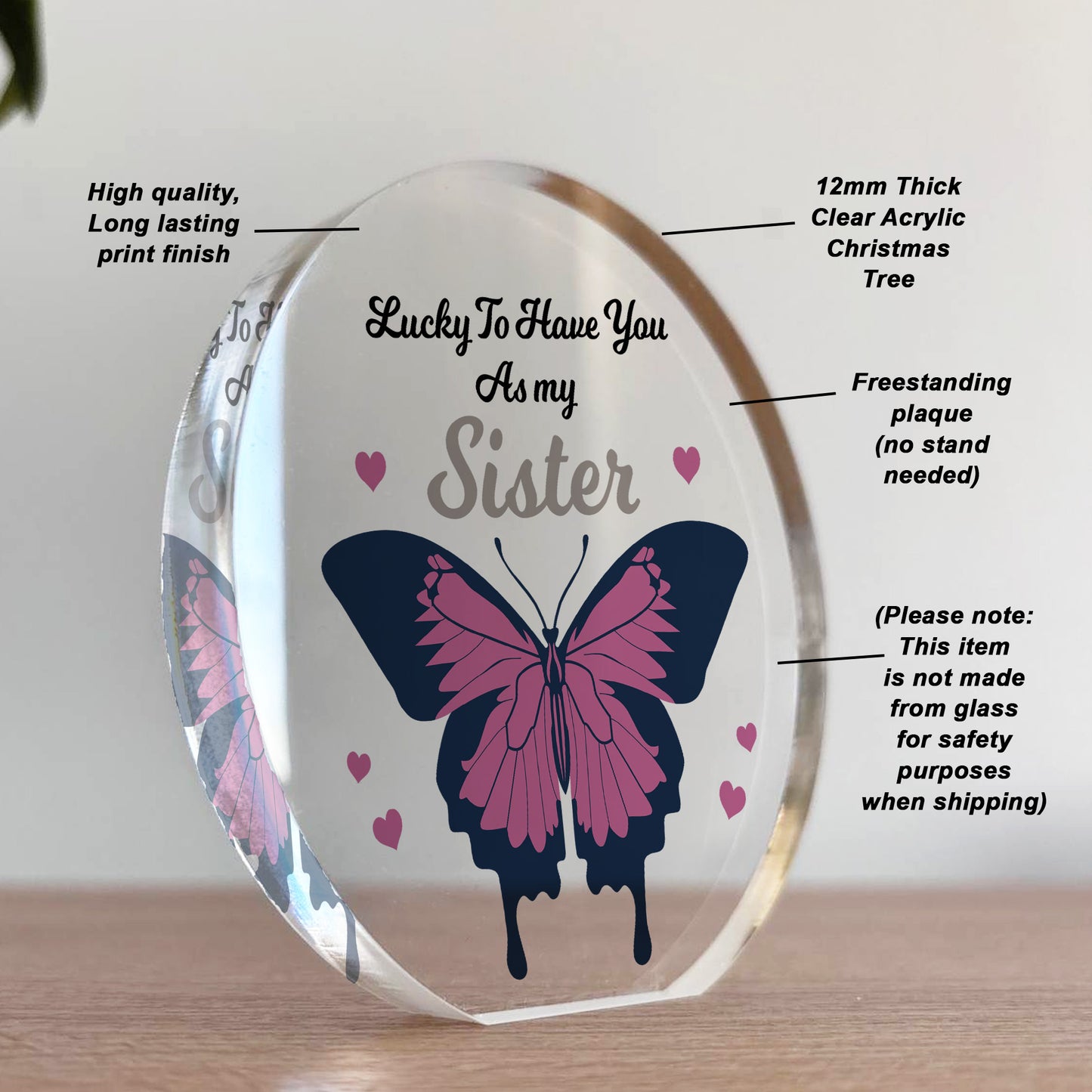 Thank You Gift For Sister Birthday Christmas Acrylic Plaque