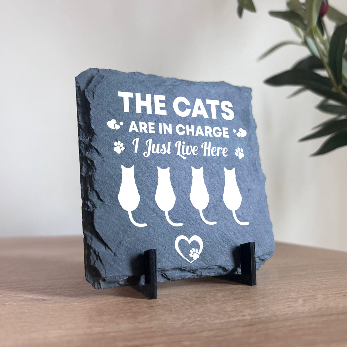 Funny Cat Slate Plaque Gift For Cat Owners Funny Pet Gifts