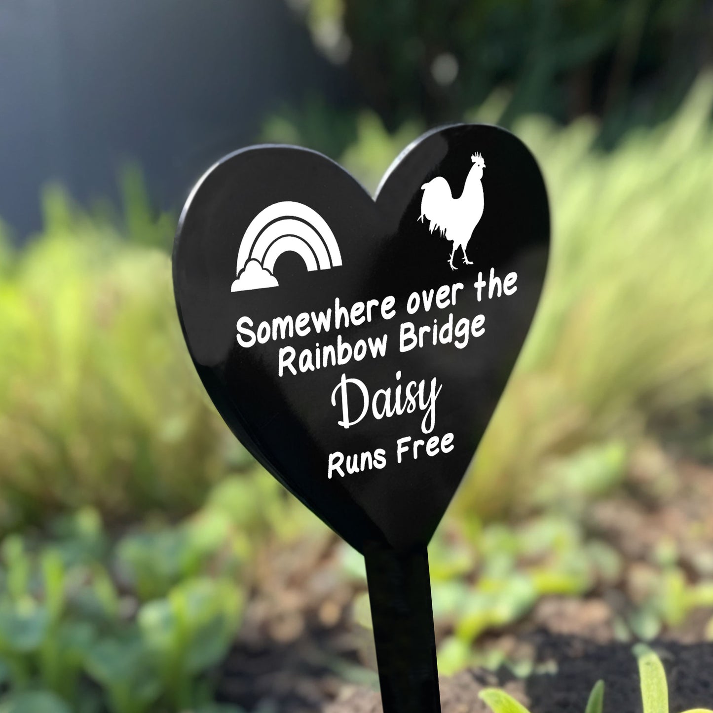 Personalised Chicken Memorial Plaque Grave Stake Custom Name