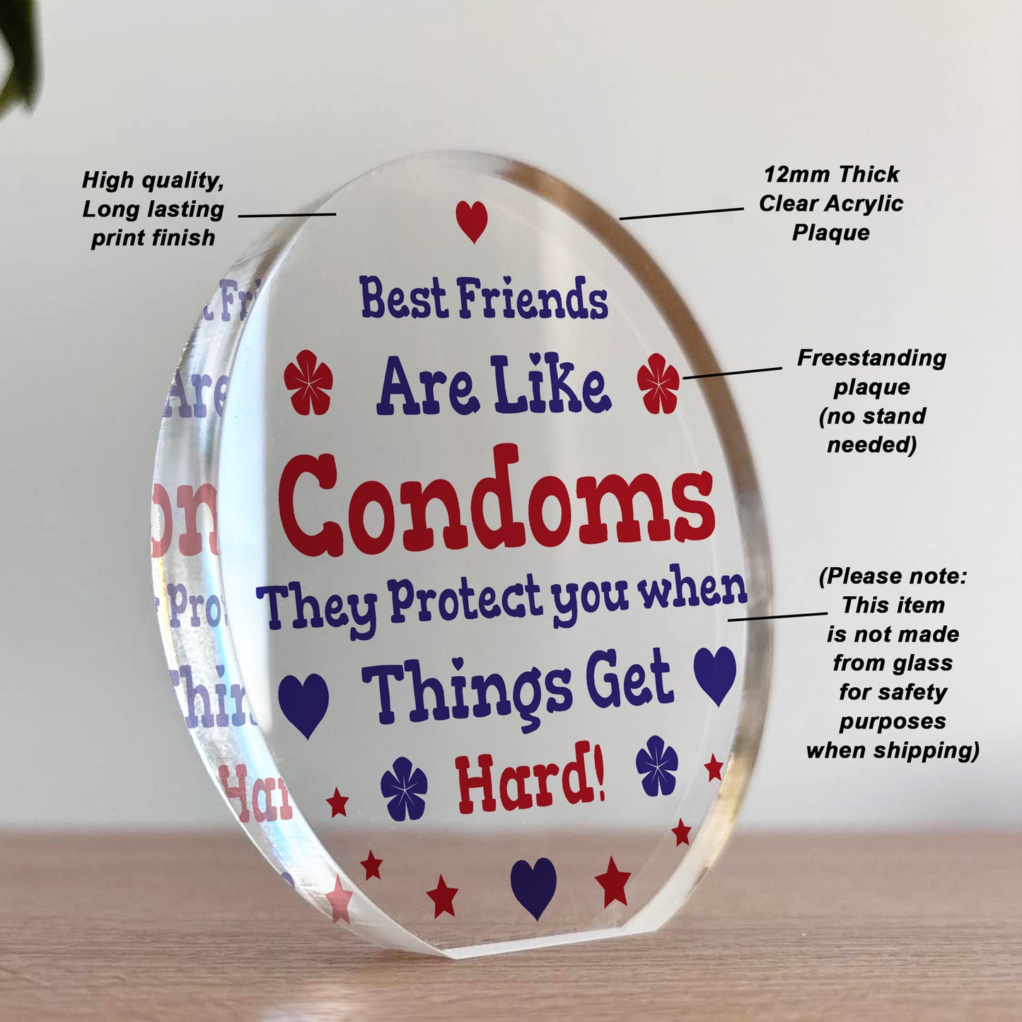 Funny Best Friend Gift Acrylic Plaque Funny Gift For Birthday