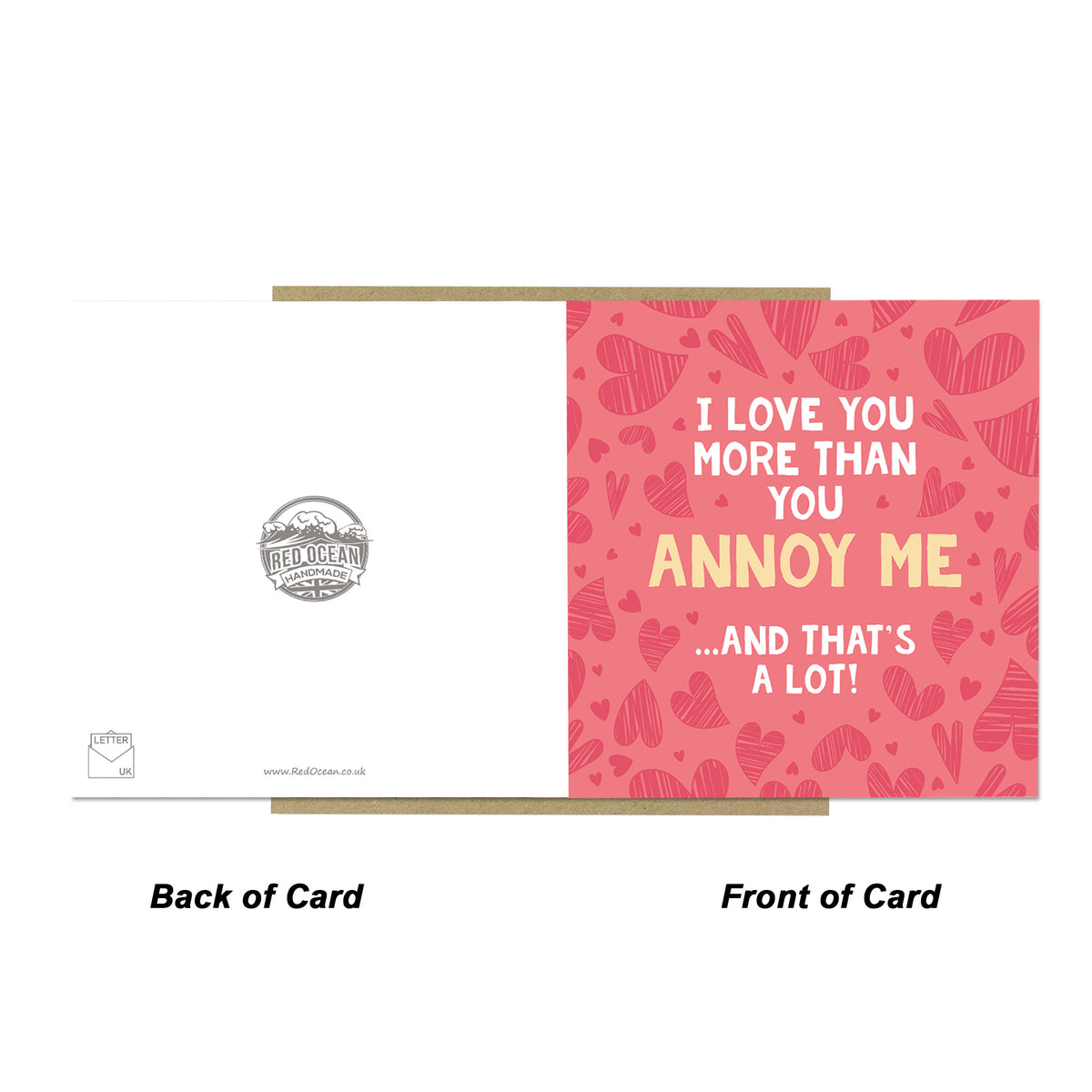 Funny Valentines Card for Him Love You More Anniversary Card