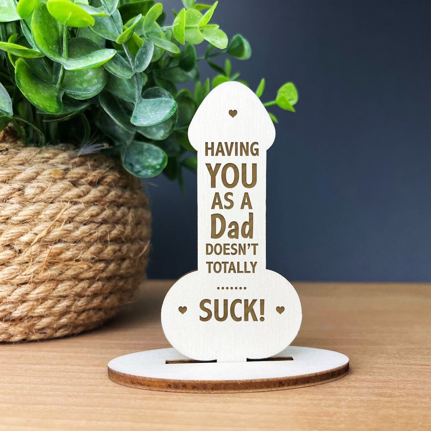 Novelty Gift For Dad Thank You Funny Fathers Day Birthday Gift