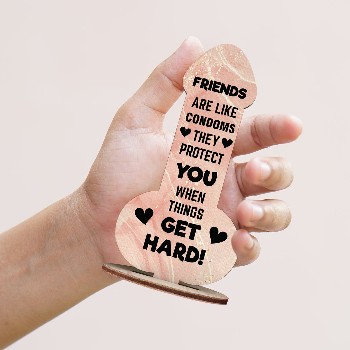 Funny Rude Friendship Plaque Novelty Christmas Birthday Gift