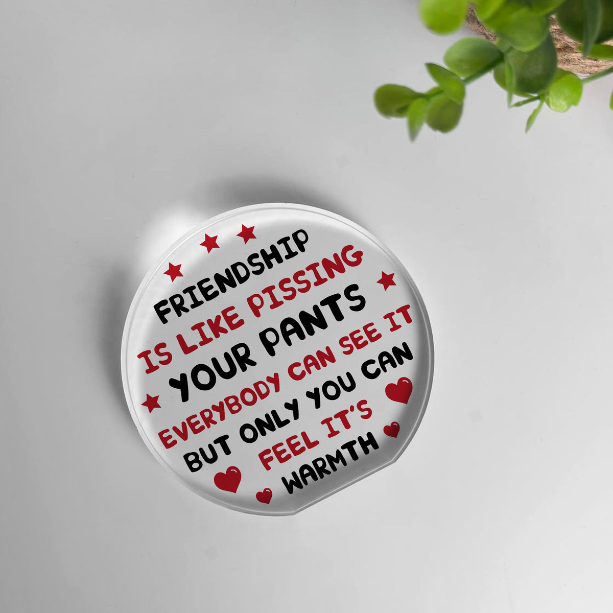 Funny Plaque For Friend Birthday Christmas Acrylic Plaque