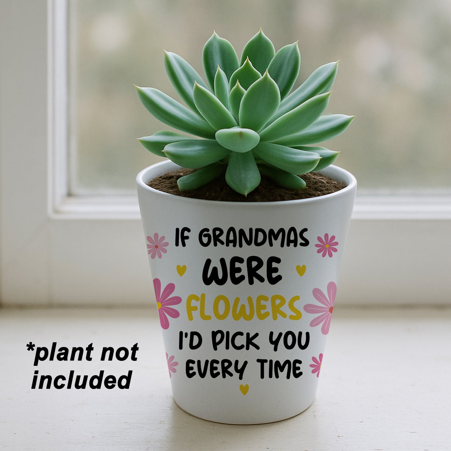 Gift For Grandma Birthday Christmas Card And Flower Pot