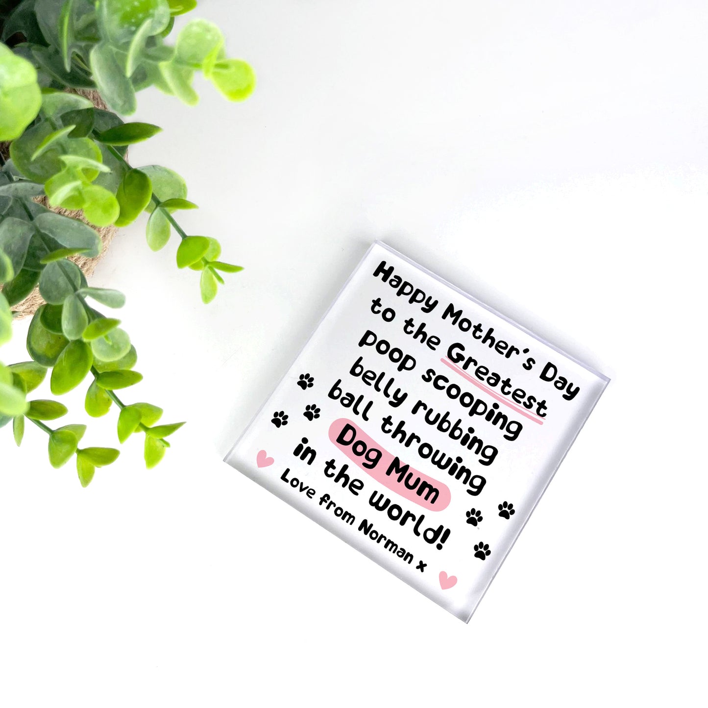 Funny Mothers Day Gift From Dog, Dog Mum Gift, Mothers Day Gift
