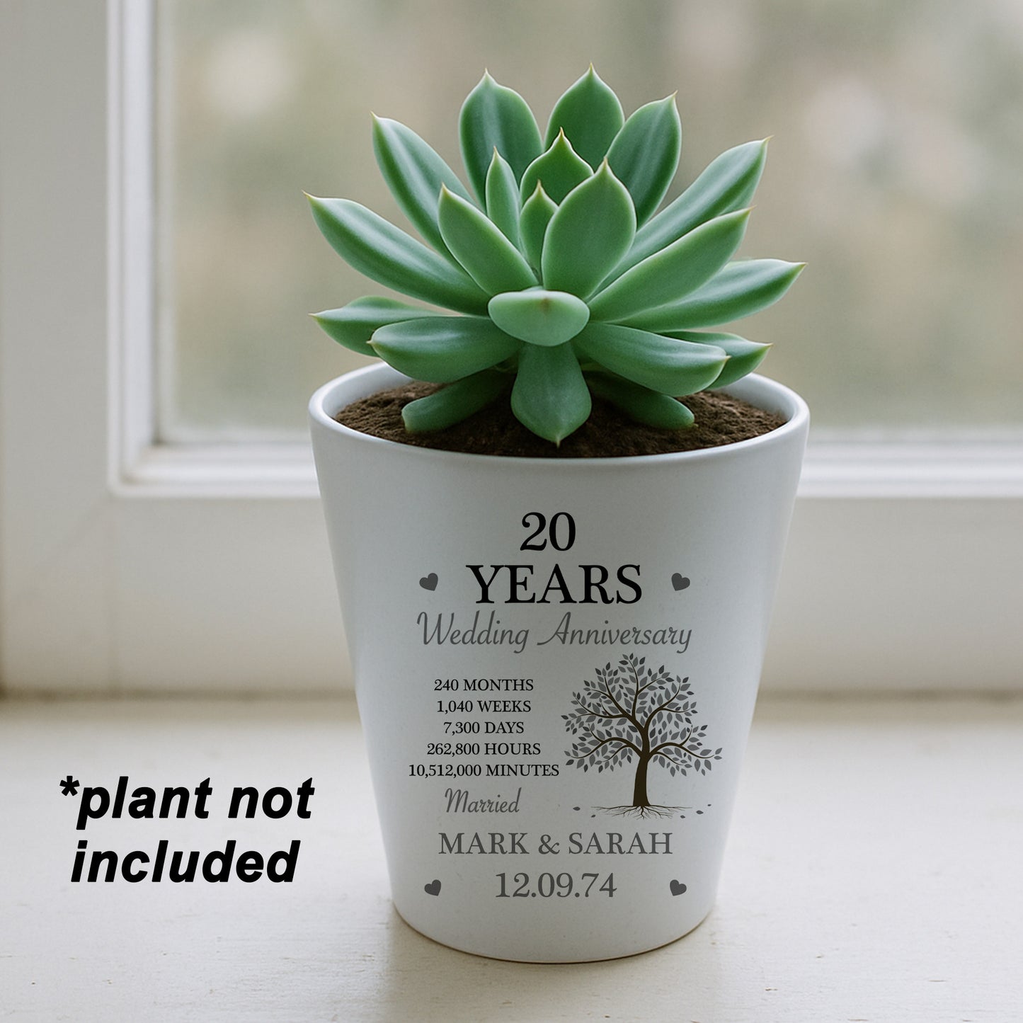 Personalised 20th Anniversary Gift Husband Wife Plant Pot