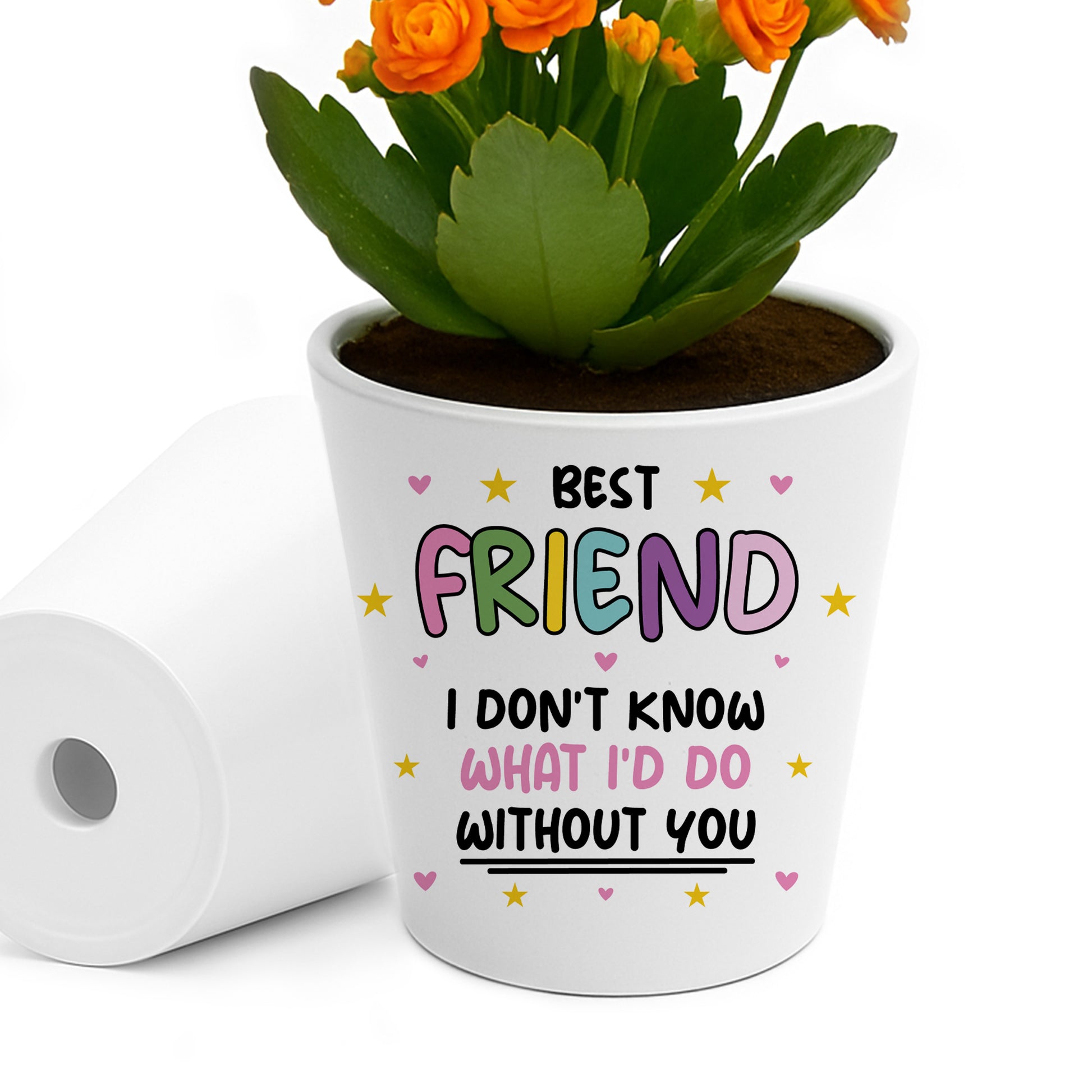 best friend plant pot Gift For Best Friend Funny Plant Pot And Card Gift For Him Her – Red Ocean  Gifts