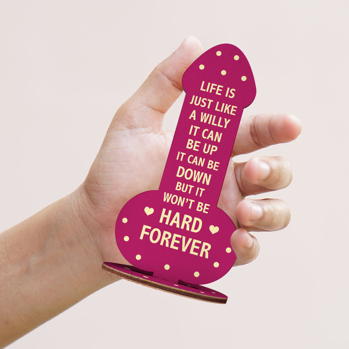 Joke Friendship Gift For Christmas Birthday Gift For Friend