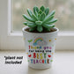 BEST TEACHER GIFT Plant Pot 10cm x 9cm Thank You Gift