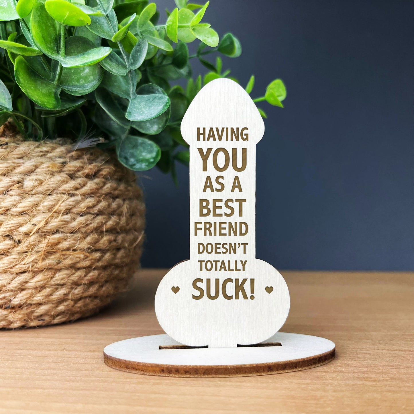 Novelty Gift For Friend Thank You Best Friend Funny Birthday