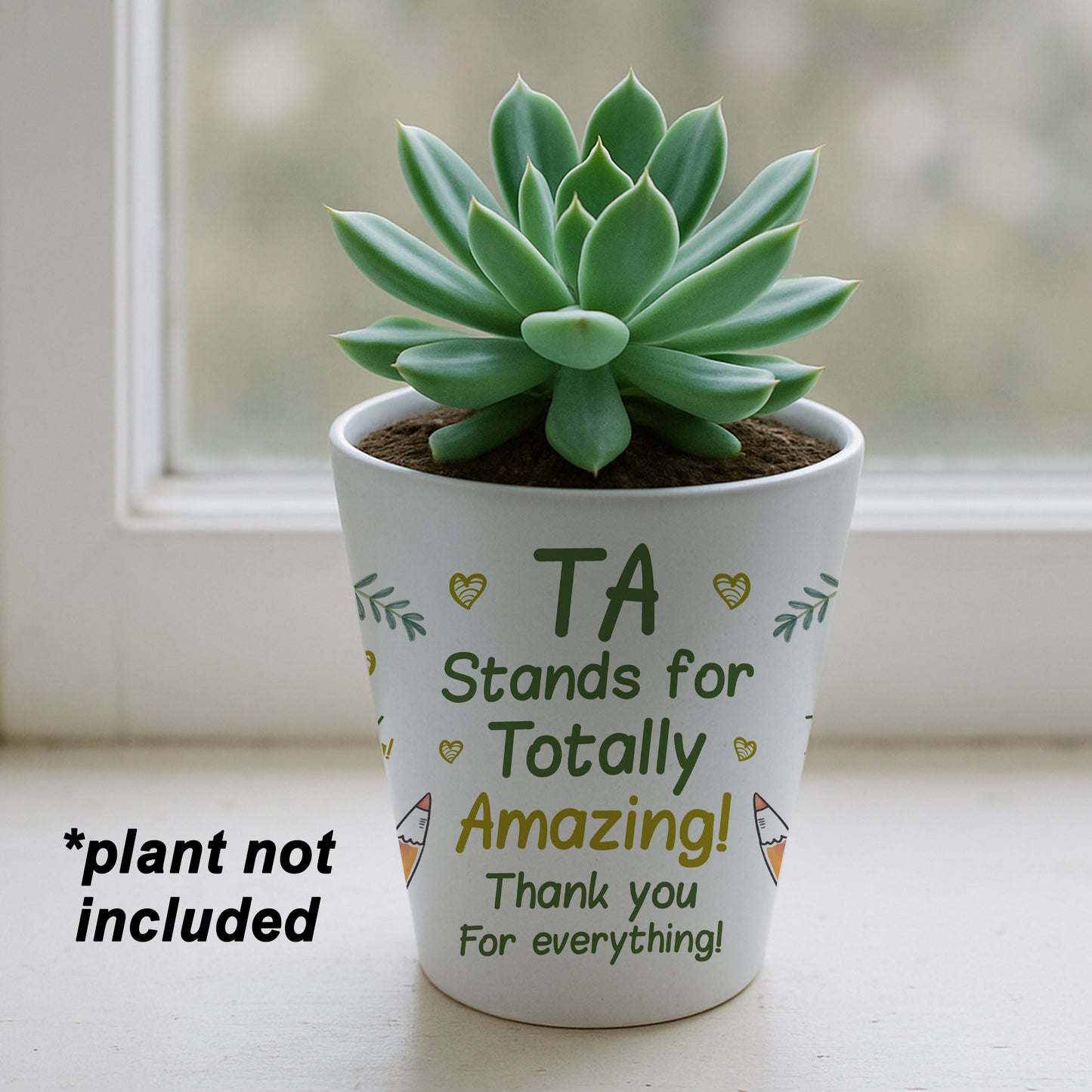 Teaching Assistant Gift Teacher Plant Pot 10cm x 9cm Thank You