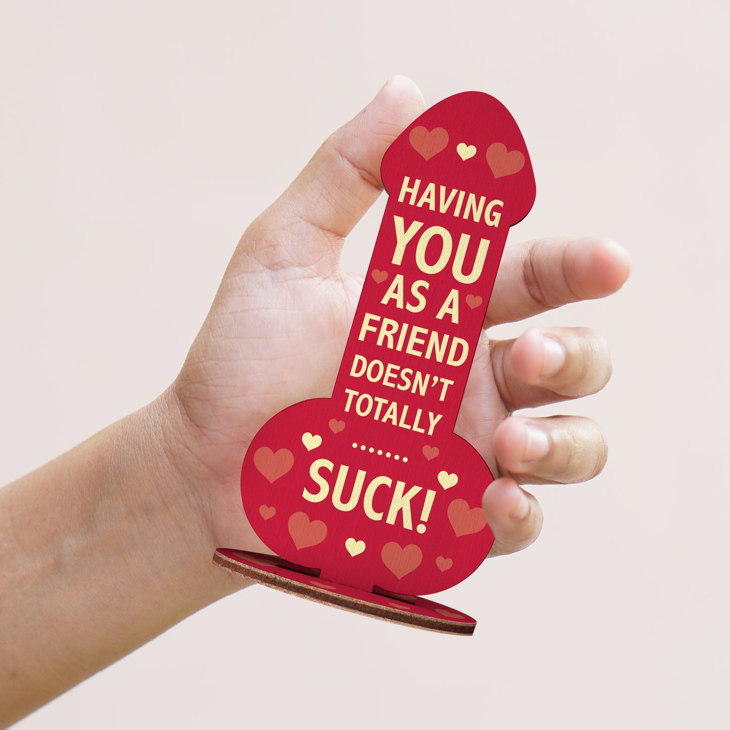 Funny Rude Best Friend Plaque Novelty Friendship Gift For Women