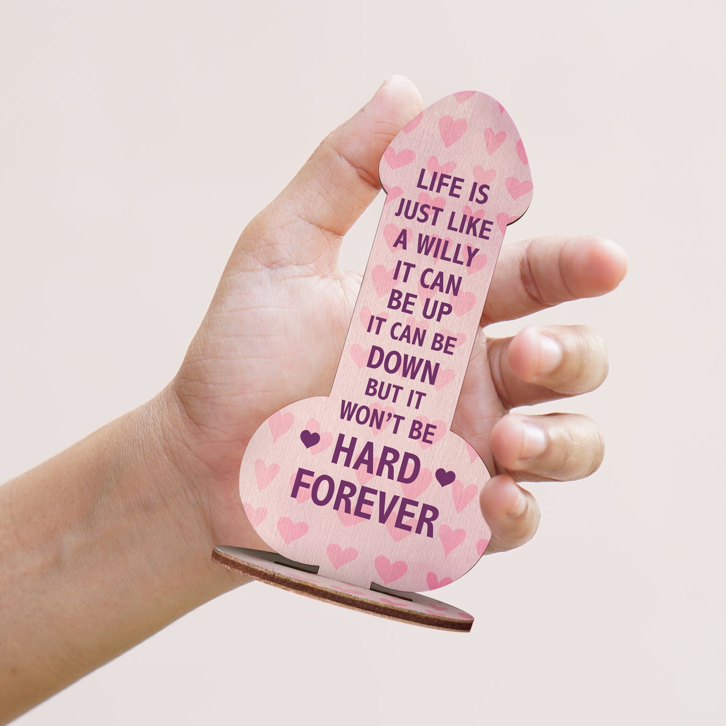 Funny Best Friend Sign Rude Friendship Gift For Him Her Novelty