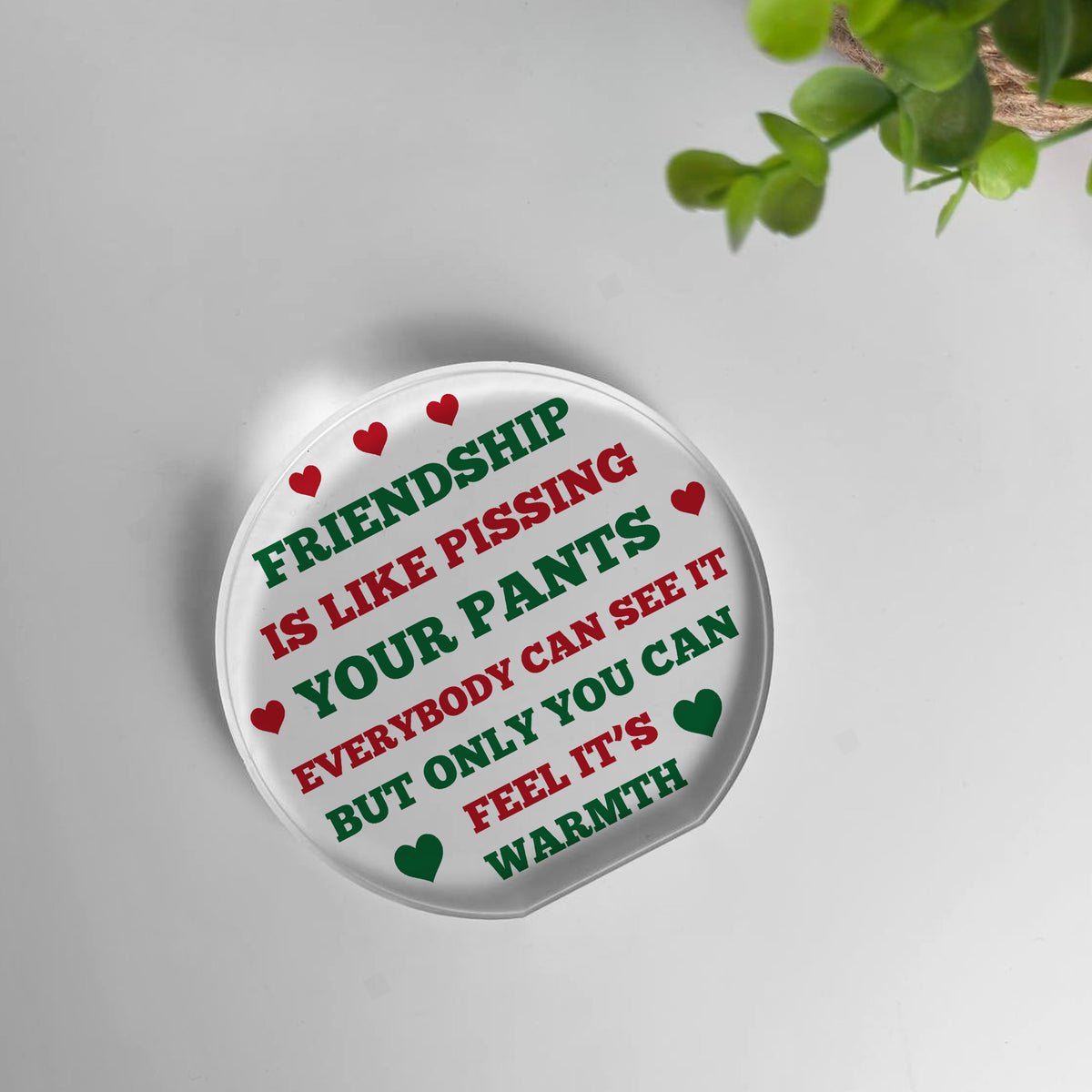 FUNNY Friendship Gift For Him Her Acrylic Plaque Special