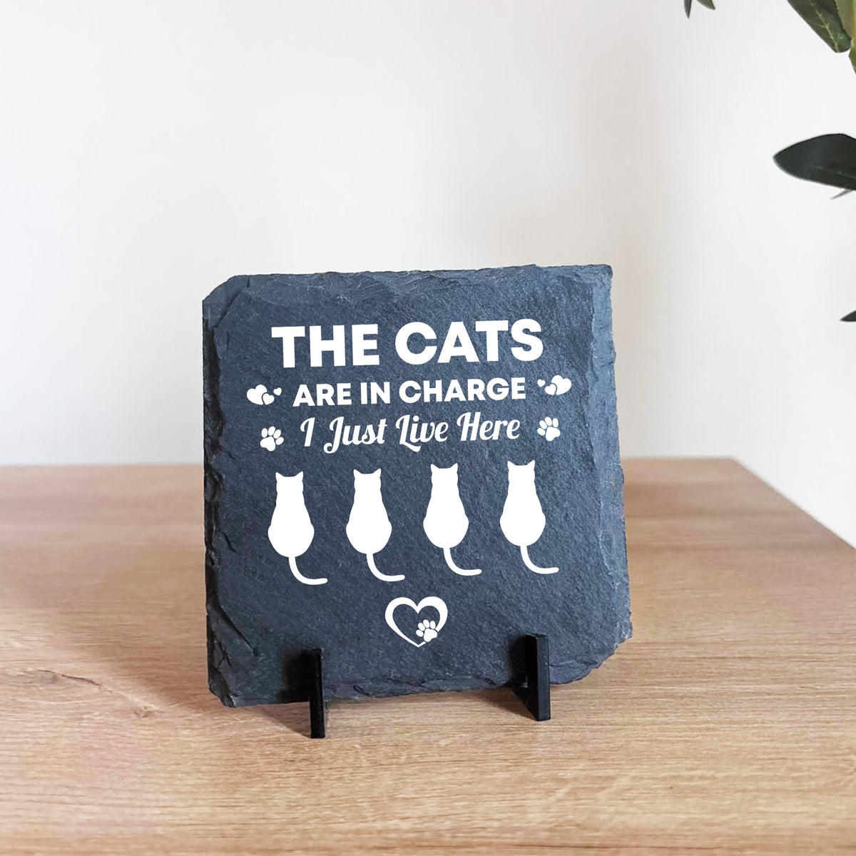 Funny Cat Slate Plaque Gift For Cat Owners Funny Pet Gifts