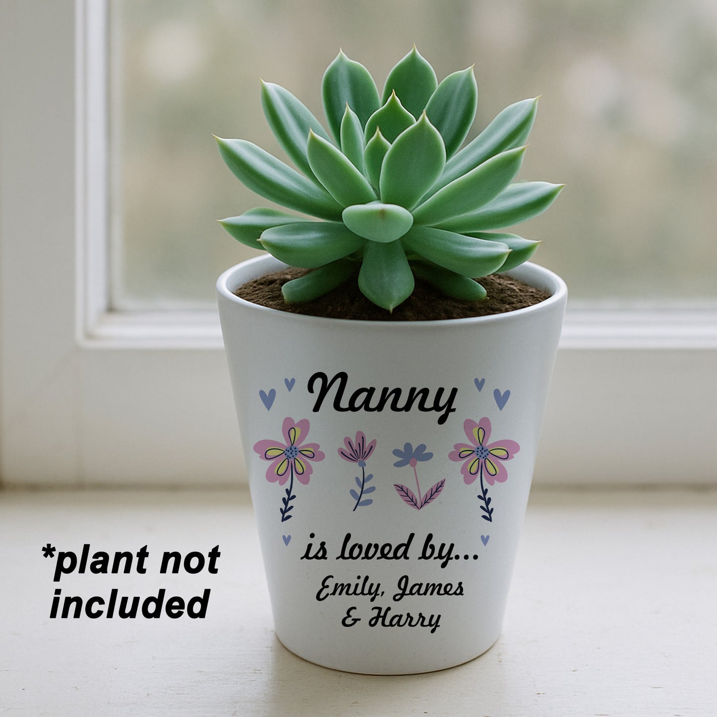 Nanny Gifts For Birthday Christmas Personalised Plant Pot