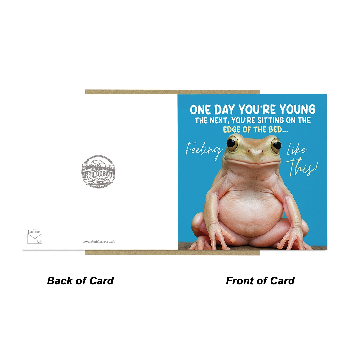 Funny Birthday Cards For Men and Women Humorous Birthday Card