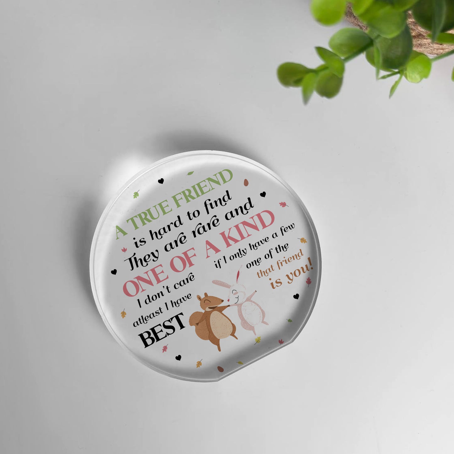 Gift For Best Friend BFF True Friend Gift Acrylic Plaque