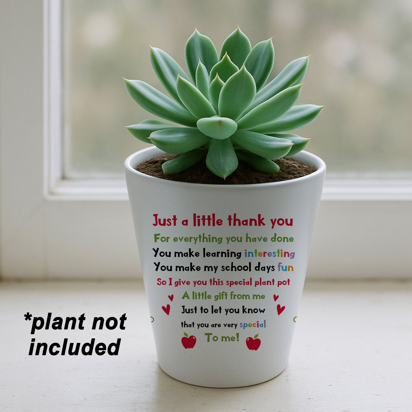THANK YOU GIFT For Teacher Plant Pot 10cm x 9cm Gift For Teacher