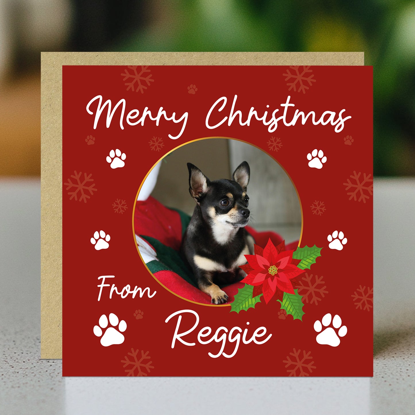 Novelty Christmas Card From The Dog Personalised Photo Card