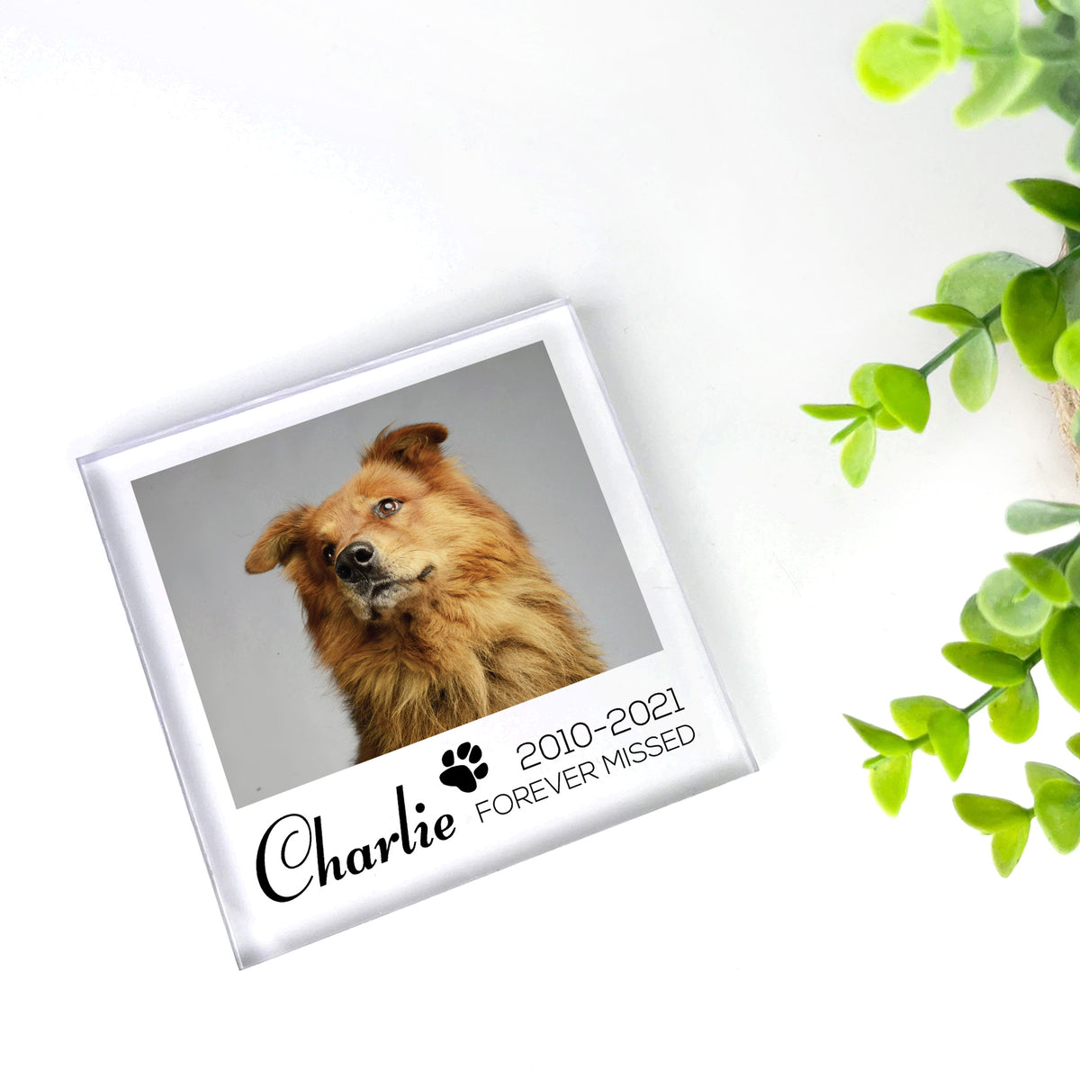 Special Memorial Gift For Pet Dog Memorail Cat Memorial Block