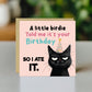 Funny Birthday Card Happy Birthday for Friends Funny Cat Card