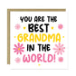 Gift For Grandma Birthday Christmas Card And Flower Pot