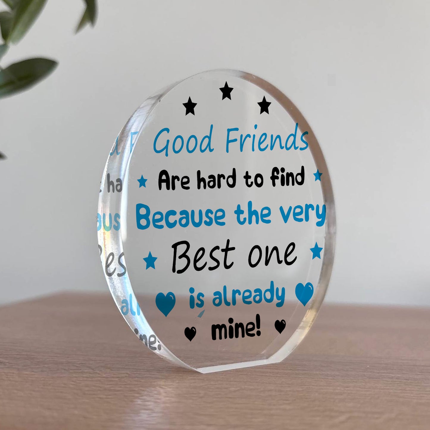 Best Friend Plaque Best Friend Is Already Mine Special Gift