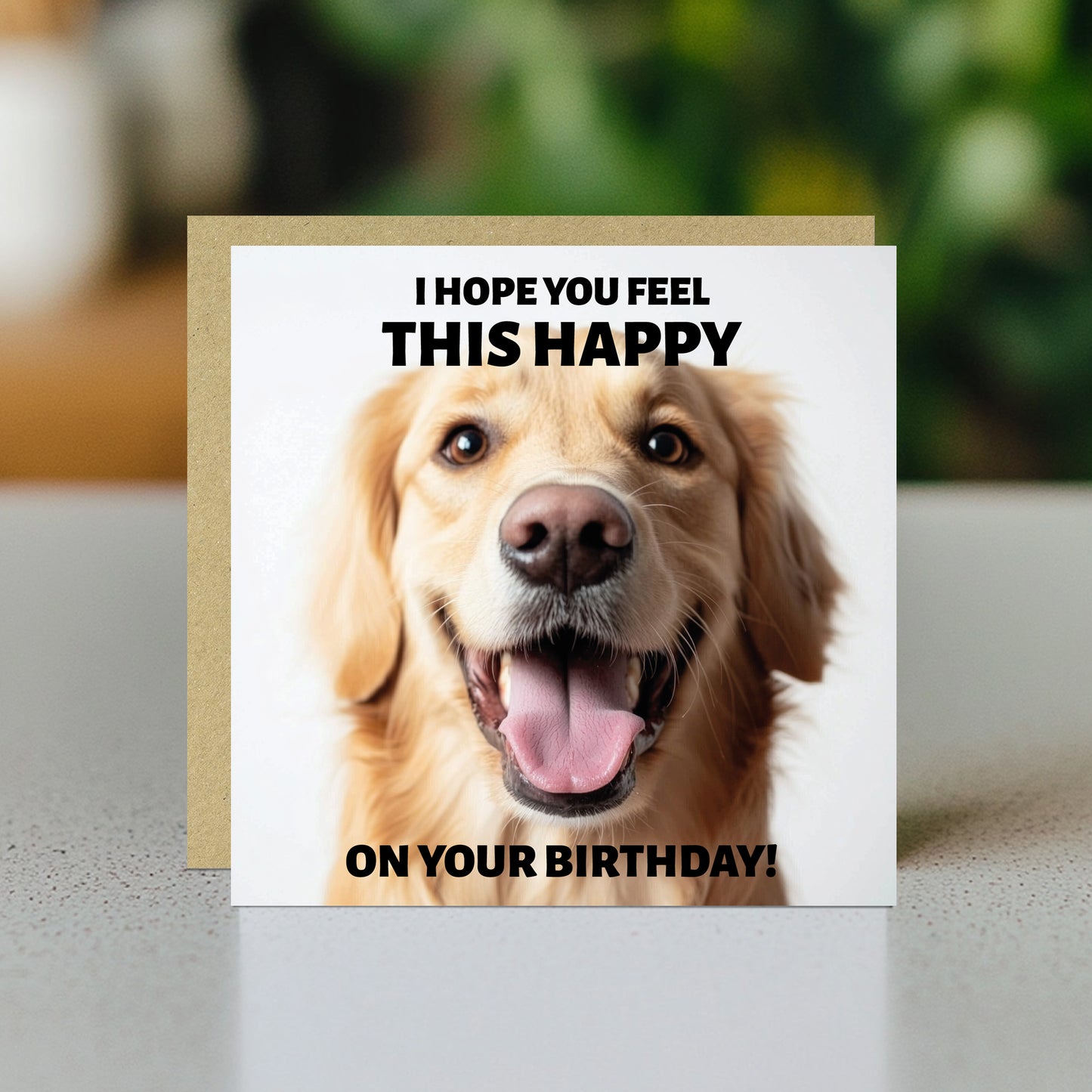 Funny Birthday Card For Him Hope You Feel This Happy Dog Card