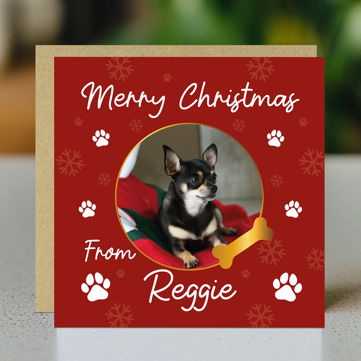 Merry Christmas Card From The Dog Personalised Photo Card