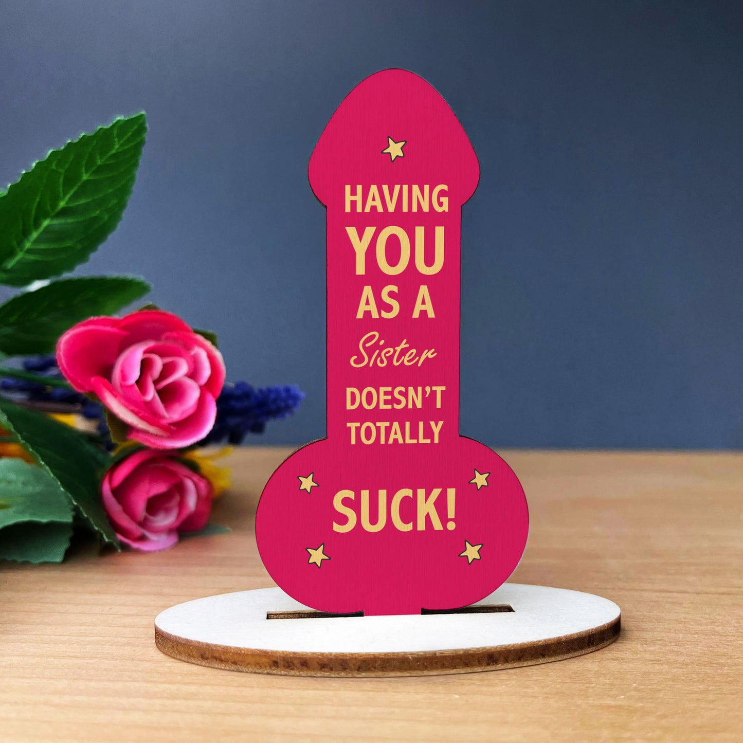 FUNNY GIFT FOR SISTER Gift For Sister Birthday Christmas Gift