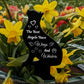 Cat Memorial Stake Cat Memorial Plaques Cat Memorial For Grave