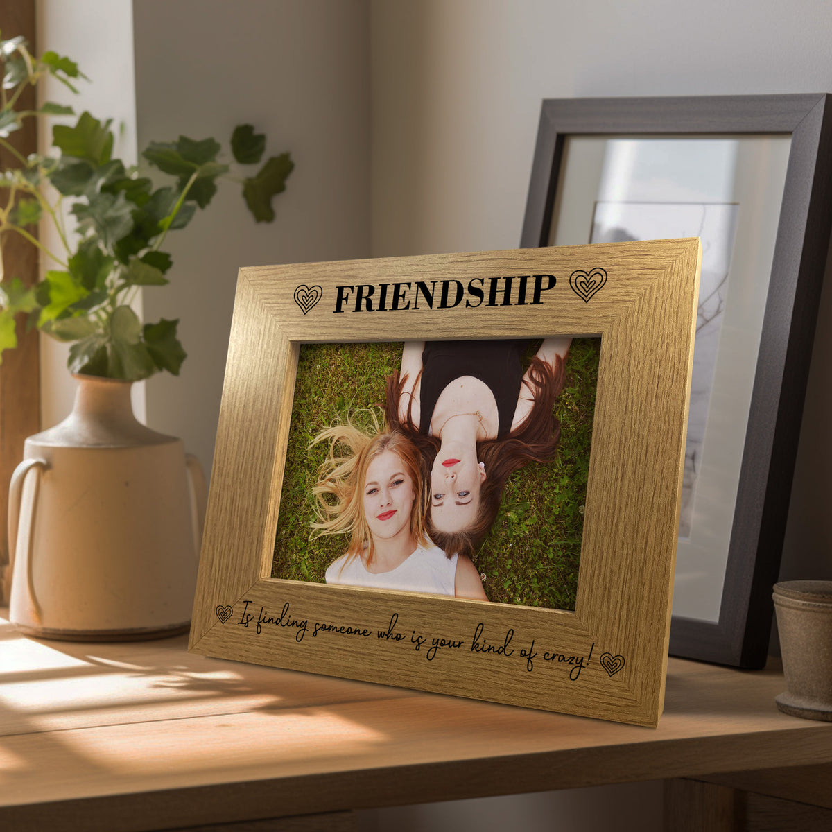 FRIENDSHIP Picture Frame Gift For Best Friend Funny Christmas