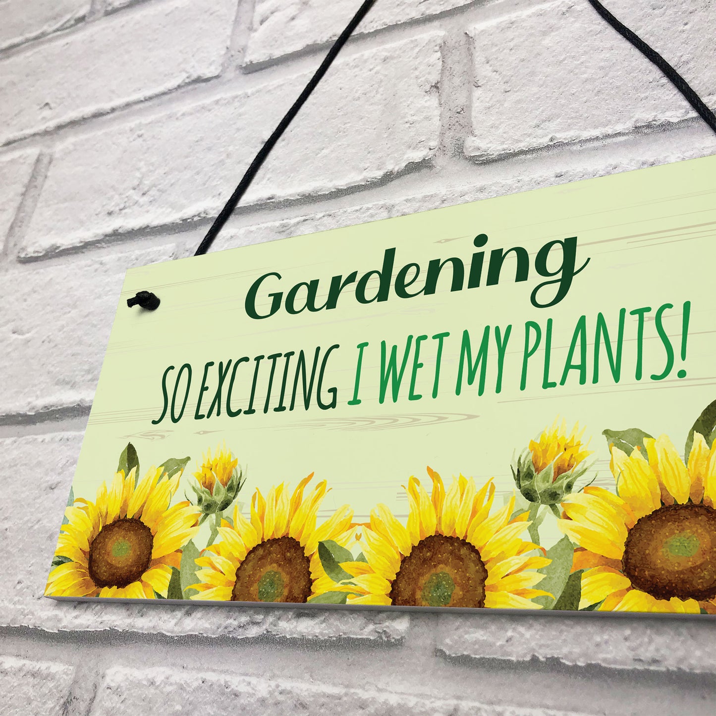 Garden Signs For Outdoor GARDEN PLAQUE FUNNY Summerhouse Sign
