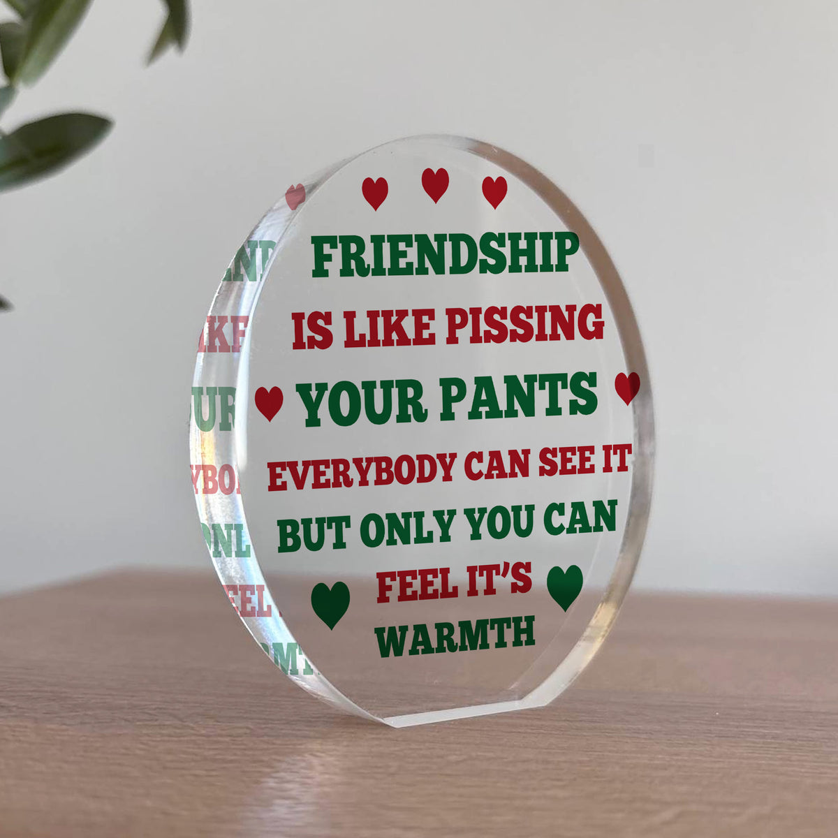 FUNNY Friendship Gift For Him Her Acrylic Plaque Special