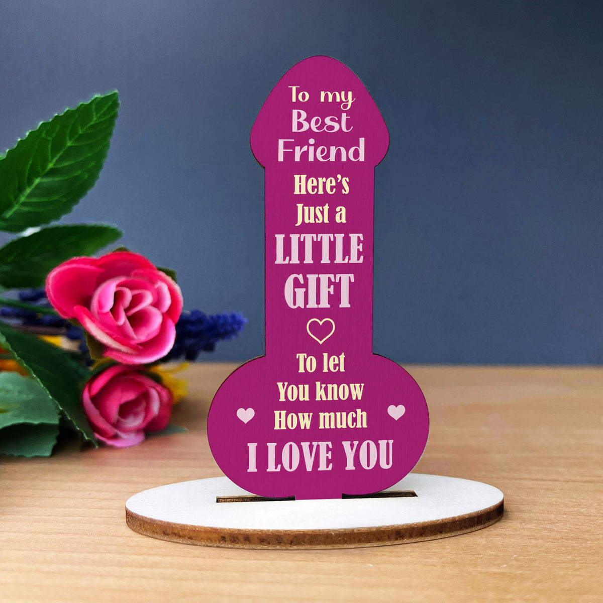 FUNNY JOKE BEST FRIEND PLAQUE Gift For Best Friend Birthday