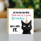Humorous Birthday Card Happy Birthday Greetings Card Novelty