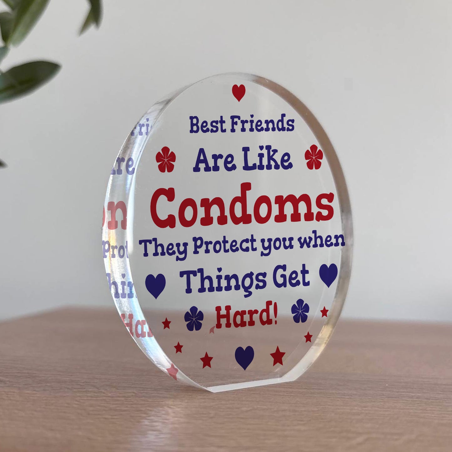 Funny Best Friend Gift Acrylic Plaque Funny Gift For Birthday