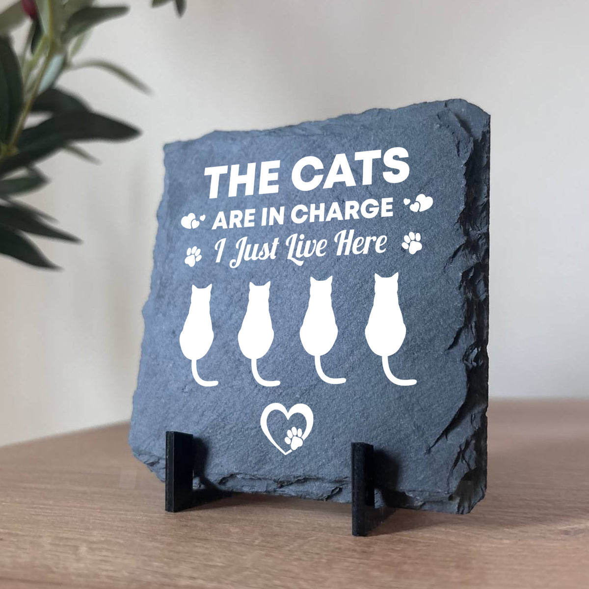 Funny Cat Slate Plaque Gift For Cat Owners Funny Pet Gifts
